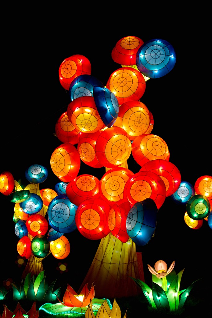 china light licht festival lichtshow show festiviteit glow evenement event chinees chinese verlichting draak dragon lichtfestival zoo